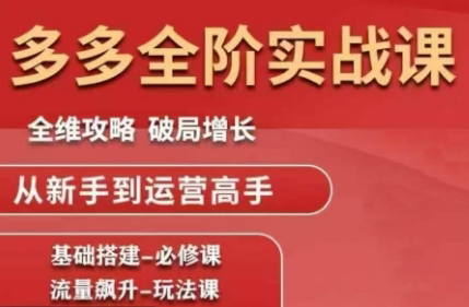 大炮·拼多多全阶实战课程(更新10月)-盈科项目资源网