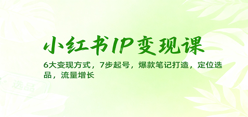 小红书IP变现课：6大变现方式，7步起号，爆款笔记打造，定位选品，流量增长-盈科项目资源网